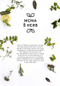 MONA & HERB - Eine unglaubliche Liebesgeschichte : MONA & HERB was inspired by a former beverage manufacture and is a natural, biological refreshment drink. The unique thing about it is that the water is mixed with organic herbs and fruits only. T