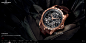 瑞士名表 | Roger Dubuis