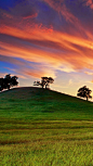 usa, california, sunset, spring, may, sky, clouds, field, grass, trees