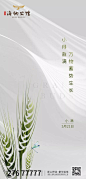 小满