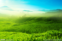 你好！夏天采集到风景背景