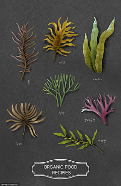 daner儿采集到素材——植物