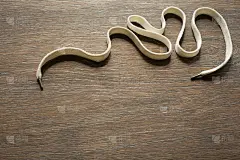 一条白色的长绳子在深色的木头背景上。