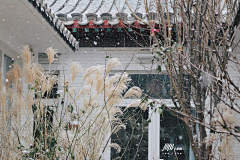 jiifll采集到jiifll-E