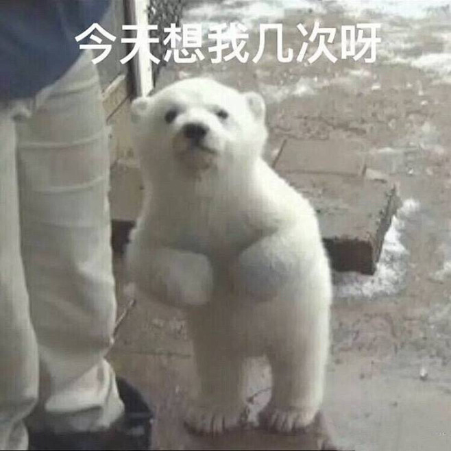 表情包