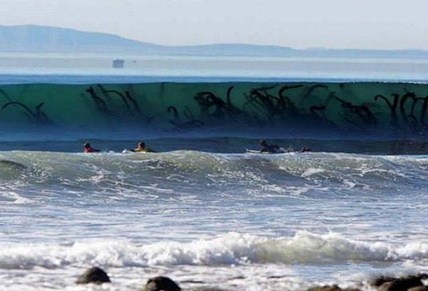 10张照片显示海洋让人不安的真面目-搜狐...