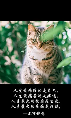 不可诗意、不可诗意文字图片、不可诗意图片、文字控、文字控图片、李宫俊、文字图片、文字美图、唯美图片、小清新美图、小清新插画、文字图、文字控、文字图片、文字排版、文字设计、文字壁纸、唯美文字、那些感动文字、文字壁纸、唯美文字、文字海报、手写文字、美文美图、美文、句子、搞笑、女性唯美图片、唯美意境图片、唯美图片大全、唯美动漫图片、唯美的句子、非主流图片唯美、唯美古风图片、文字图、手写、语录、情感、英文、文字句子、手绘、素描、水彩、彩铅、油画、版画、绘画教程文字控图片、文字控头像、文字控壁纸、唯美文字控图片、Q