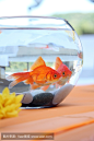 金鱼在圆形水族馆。
Goldfish  in a round aquarium.