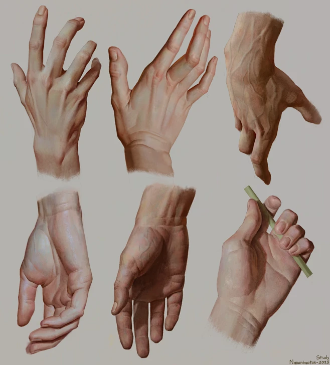 Hand studies-花瓣网