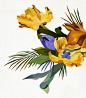 flower : Picture of flowers painted for illustration