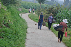 一路向北旅行采集到山东临沂特产自制红薯粉皮