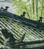 四川内江圣水寺，门票只要一块钱，还有纸质门票保存，里面的工作人员态度特别好，检票的老奶奶也很虔诚，检票完后会对你说句“阿弥陀佛”。

曾经的圣水寺规模很大，可惜昔日木构建筑被毁殆尽，仅存石牌坊和石桥，最有价值的是唐代的石雕千手千眼观音造像。 ​​​​