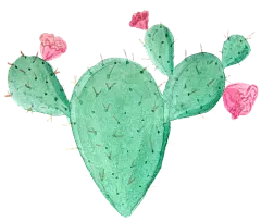 @冒险家的旅程か★
png植物 仙人掌插画素材 水彩 手绘 彩铅 小清新 插画