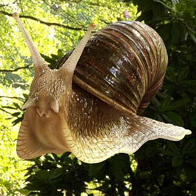 snail