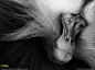 44376_1600x1200-wallpaper-cb1322648771