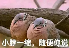 老铁们，想看看你们的表情包，有什么能反杀这张图？_李毅吧_百度贴吧