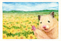 ハムスター助六の日常(SUKEROKU’s daily life)  HamsterPainter GOTTE (4)