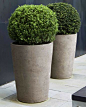 contemporary pots and topiary - Atelier vierkant MR80: 