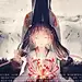 道有阙
