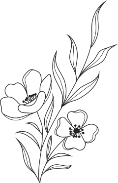 Botanical-Illustration-Bundle