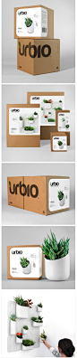 Urbio | Lovely Package