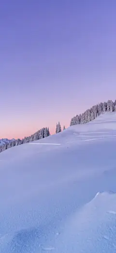 樱花 风景壁纸
38

江淮度寒春  
收集到  壁纸集


风景壁纸
9 62

A1心平气和  
收集到  风景壁纸

图片评论
1条

温柔小琛
拿图谢谢
查看更多评论