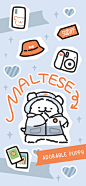 ✨小狗过冬✨
#线条小狗maltese# ​​​