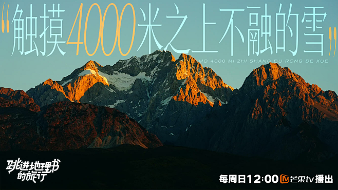 微信图片_20241115102545