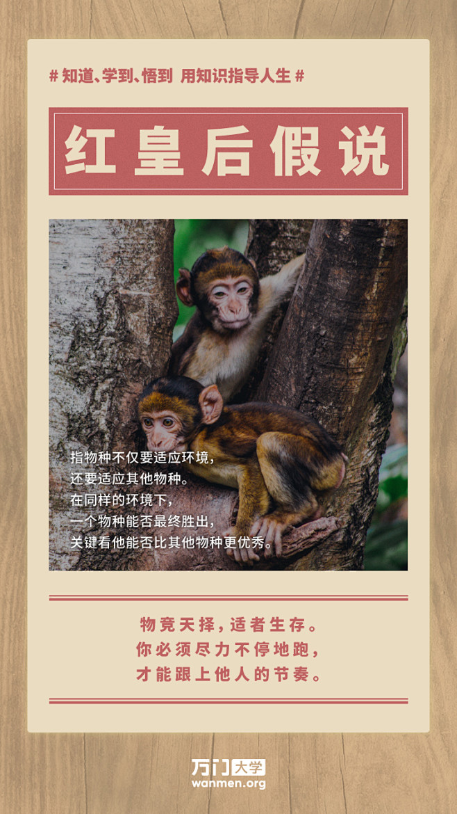 形象海报，