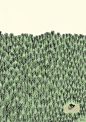 Forest & little house