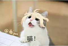 【图片】【冷却材】画一些（稀有）可爱的表情包【刀剑乱舞吧】_百度贴吧