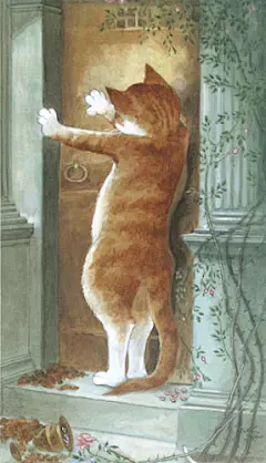 猫之插画图集丨绘画动画素描水彩手绘临摹案例