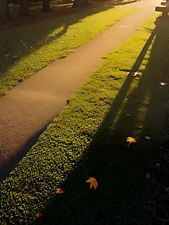 AI数字艺术摄影风落叶