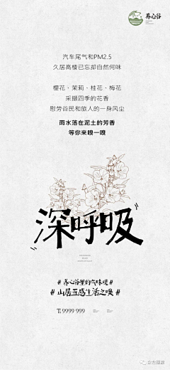 Vmirrors采集到海报文案