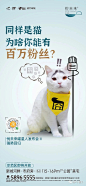 【作品】一只猫的两场地产发布会 : 真 会 玩。 。 。
