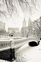 central park dressed in winter's white