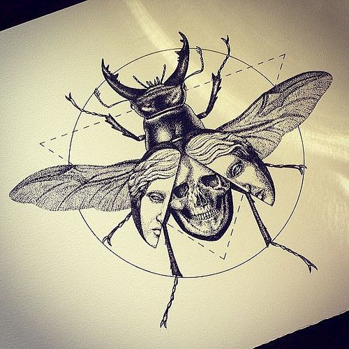 ·黑白·昆虫·甲虫·纹身手稿·