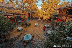 文枳先生采集到A.总体—场景印迹