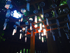 用户OkxD1oTI采集到观赏用