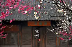 立春梅花开满枝头_新图网 https://www.ixintu.com