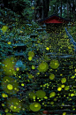萤火虫之夏

/  在日本名古屋市附近的森林片区，
/ 摄影师Yume Cyan用长曝光摄影捕捉到了一系列美丽的萤火虫相片。

/ 在照片中，萤火虫幻化成或黄色、或绿色的漂浮点点，将纵横交错的飞行路线洒满森林小径，仿佛正绕着小树林曼妙起舞，创建出既神奇而又浪漫美丽场景。 ​​​​