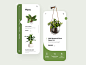 Plants App UX UI Design mobile ui mobile apps minimalist mobile app design mobile design webdesign ux ui design animation typography plants 2d cards ui top ux ui designer creative mobile web design illustration minimal branding mobile app