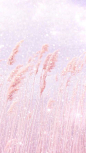 bling_百度图片搜索