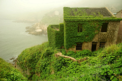 兔子小小采集到只是一种场景