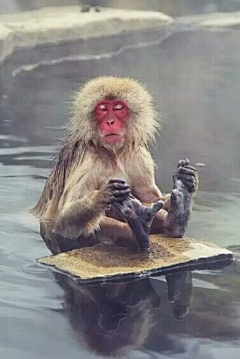 沉睡森林……采集到温泉