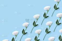 白色口气孔的花拼贴图案。