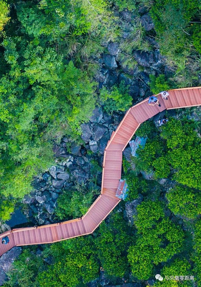 潮州：横穿“竹林、茶园、原始森林”的栈道...