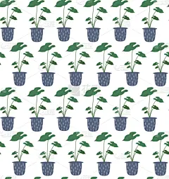 鸡尾酒,室内植物,热带气候,四方连续纹样,华丽的,花盆,干酪藤,壁纸,枝繁叶茂,现代