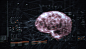 HUD/UI Concepts : HUD & UI Concepts: Various  _全境封锁 the division_T2019122 #率叶插件，让花瓣网更好用_http://ly.jiuxihuan.net/?yqr=10119137#