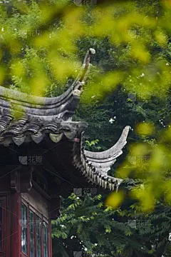 苏州,园林,拙政园,东方石景花园,星和园,自然,垂直画幅,旅游目的地,建筑,无人